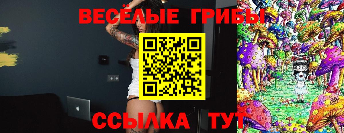 Галлюциногенные грибы Cubensis  Псилоцибиновые грибы Cubensis  Аргун  Вход с VPN 
